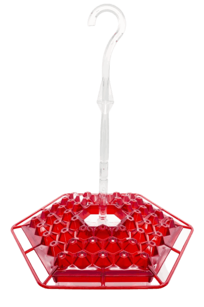 Hummingbird feeder Sherem